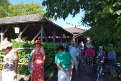 IMG_20230707_170228